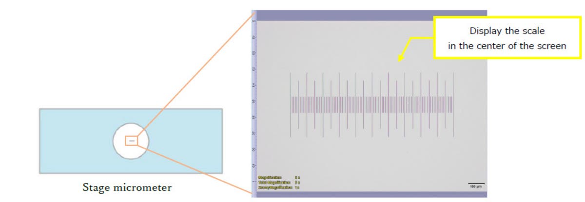 How to Check the Imaging Software Magnification Settings