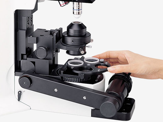 BX51WI Fixed Stage Microscope | Evident Scientific | Olympus