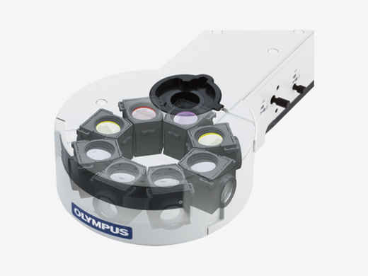 BX63 Automated Fluorescence Microscope | Evident Scientific