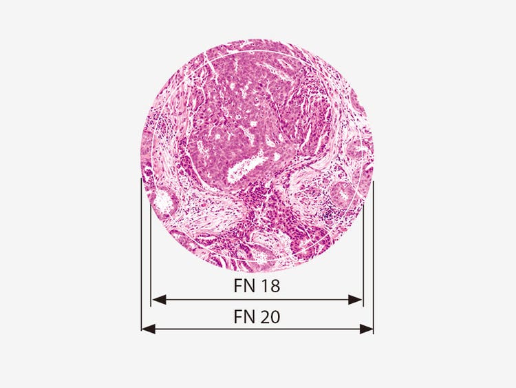شماره میدان (FN) از 20