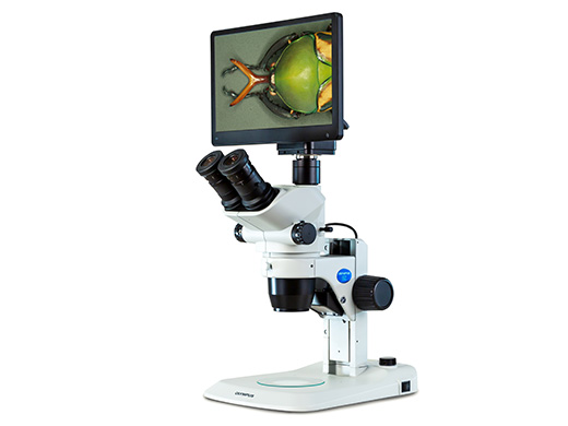 SZ61/SZ51 Zoom Stereo Microscope | Olympus SZ61/SZ51 Zoom Stereo Microscope | Olympus
