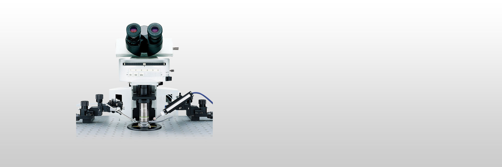 BX51WI Fixed Stage Microscope | Olympus