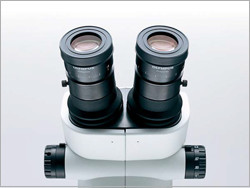 SZX7 Stereo Microscope System | Evident Scientific | Olympus