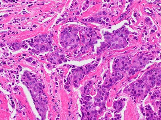 Color Reproduction that Rivals the Human Eye