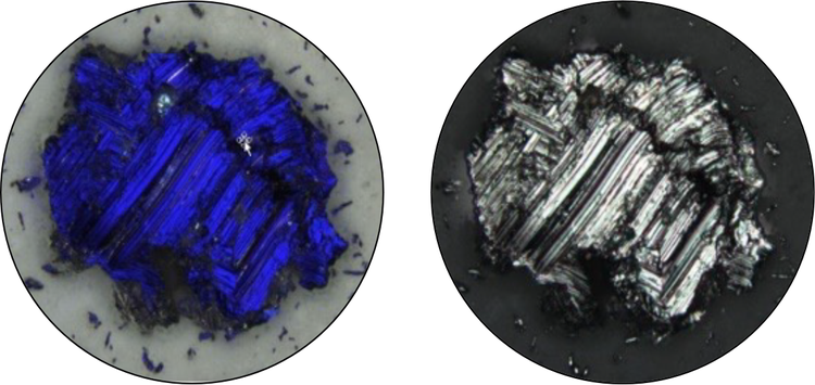 Left: Particle as seen by the CIX100 system during detection and analysis. Right: The same particle as seen in real color.