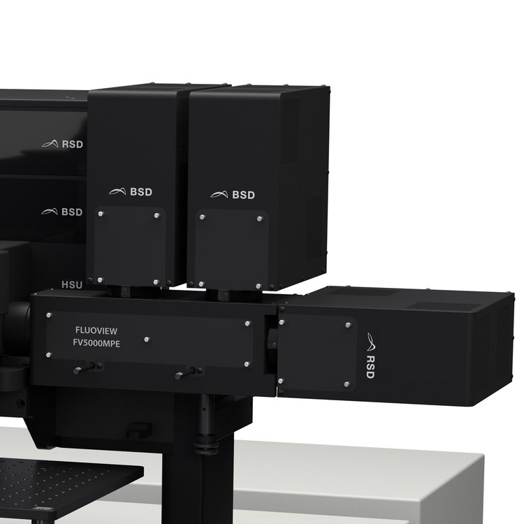 FLUOVIEW FV5000MPE Multiphoton Laser Scanning Microscope | Evident