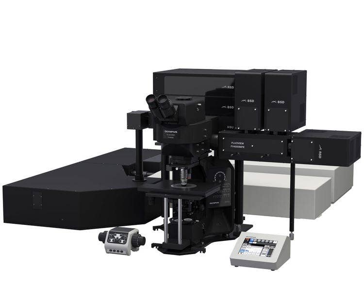 Upright Microscope System