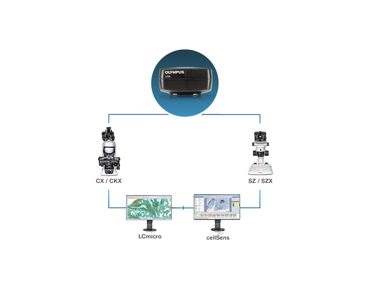 Simple to Set Up and Start Using