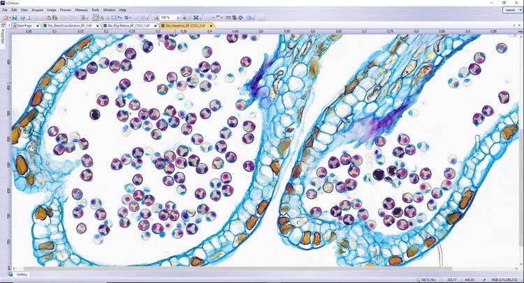 Seamless Support for Olympus Imaging Systems