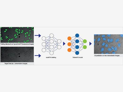 Self-Learning Microscopy