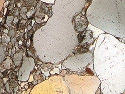 Working with Olympus Digital Cameras