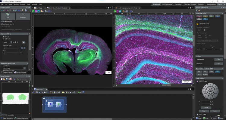 IXplore IX85 Inverted Microscope System | Evident Scientific | Olympus
