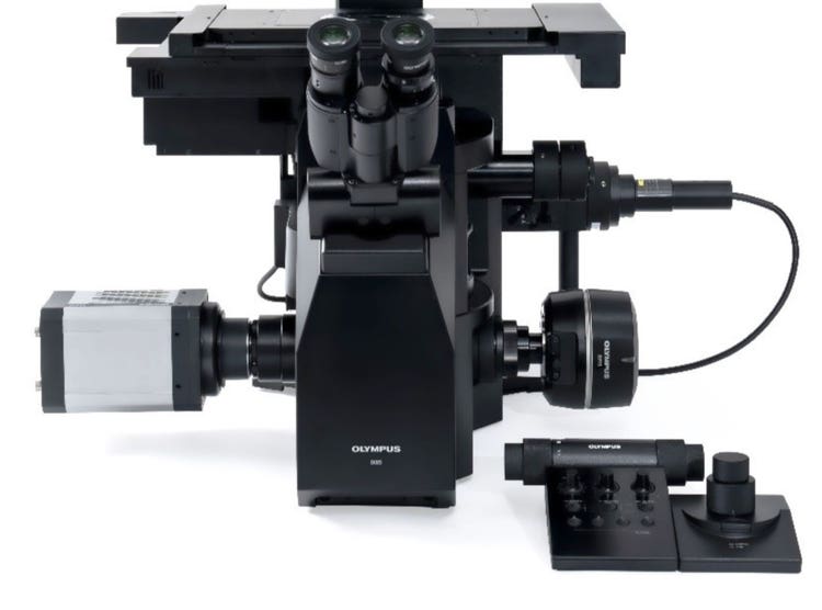 IXplore IX85 Inverted Microscope System | Evident Scientific | Olympus