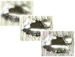 EFI automatically captures and stacks multiple images to create a single, in-focus image of the sample.