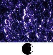 Stainless steel - Darkfield