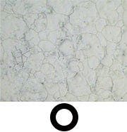 Stainless steel - Brightfield