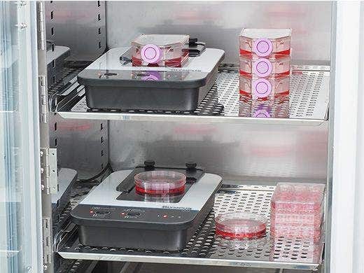 Label-free detection