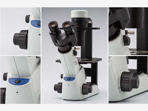 CKX53 Compact Cell Culture Microscope | Evident Scientific | Olympus