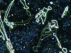 Polished sample of AlSi - Darkfield