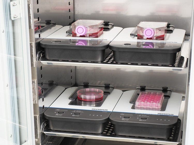 Label-free detection