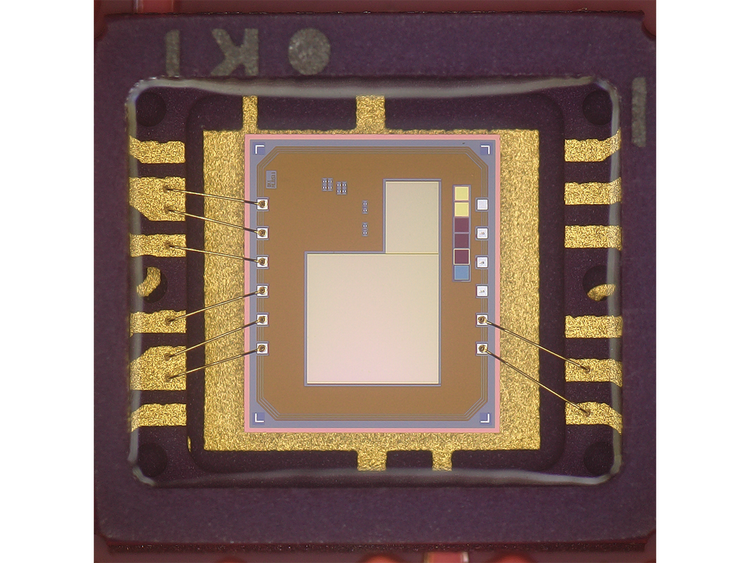 MIX with brightfield