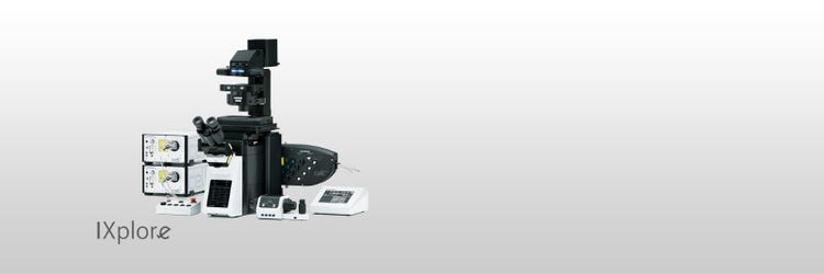 IXplore IX83 TIRF Imaging Microscope System | Evident Scientific