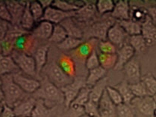 Expanding Current Imaging Capabilities