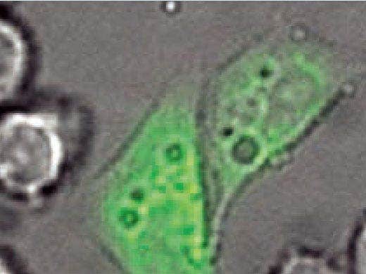 Overcoming the Limitations of Fluorescence