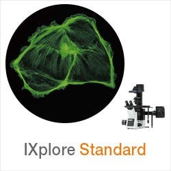 IXplore IX83 SpinSR Super Resolution Microscope System | Evident