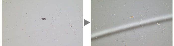 A hard disk (Left: Brightfield / Right: DIC)