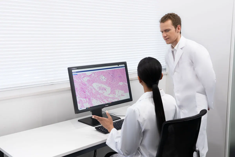 Effortless, High-Quality Scans