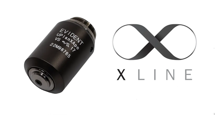 Microscope-Quality Images Onscreen