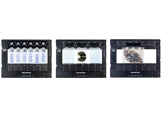 Supports Single Glass Slides Up to Glass Plates