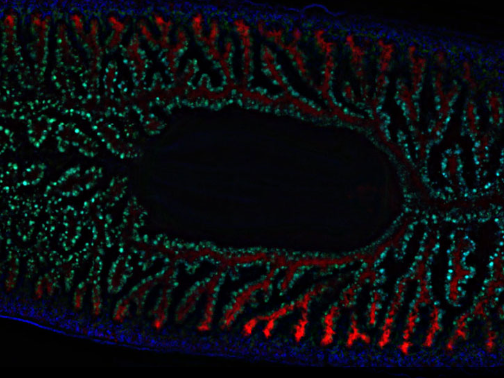 Versatile for Many Applications