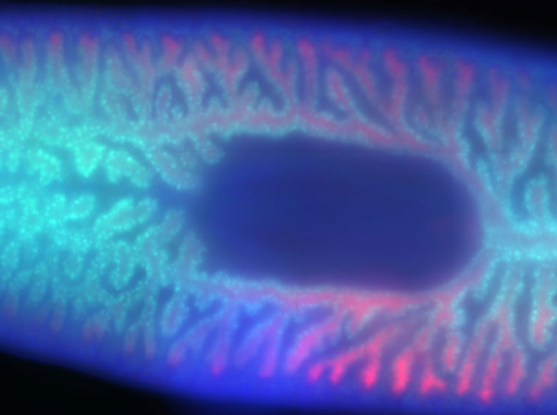 Versatile for Many Applications