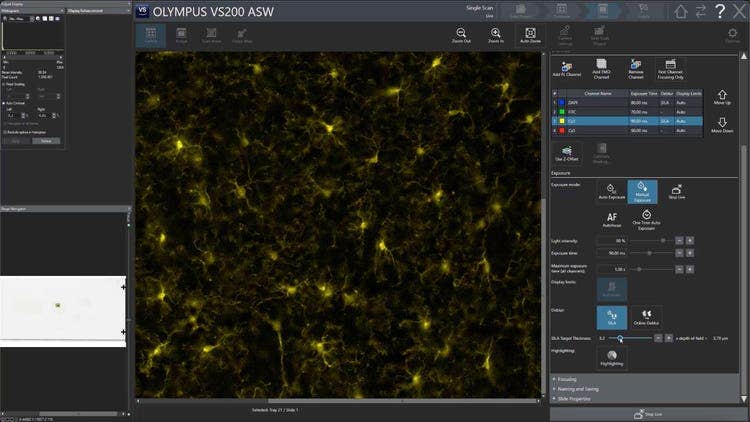 Simple for Anyone to Use