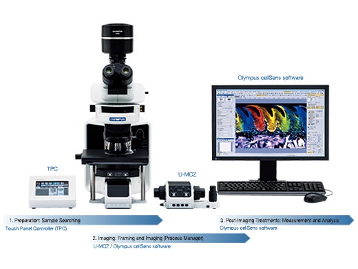 BX63 Automated Fluorescence Microscope | Evident Scientific