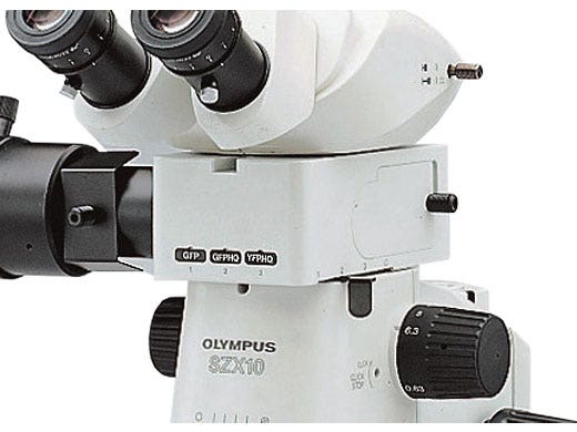 SZX10 Research Stereo Microscope System | Evident Scientific | Olympus
