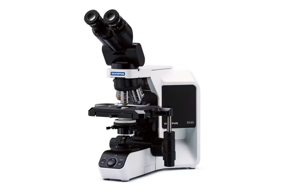 Simple Microscope Sample BX43 Clinical Microscope | Evident (Formerly Olympus)