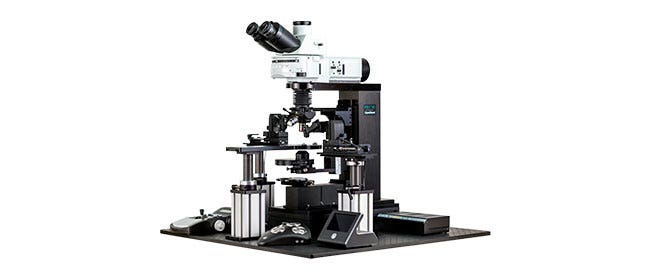 Open Stand Microscope Frame | Fixed Stage Post Microscope | Evident ...