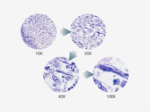 Light Intensity Manager for Uniform Brightness