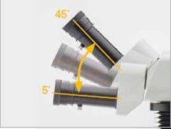 SZX16 - Observation Tube with Convergence Angle