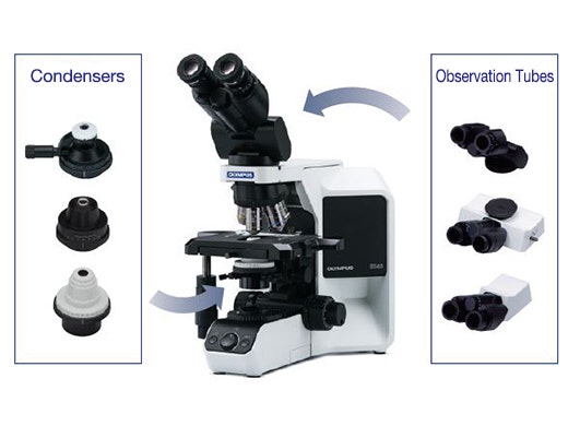 BX43 Clinical Microscope | Evident Scientific | Olympus