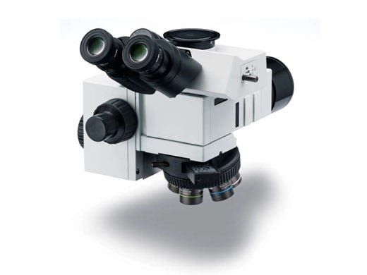BX53M Upright Microscope | Evident (Formerly Olympus)