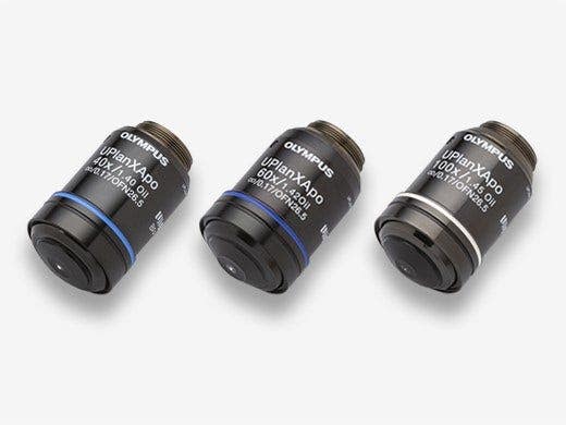 High Transmission with Reduced autofluorescence