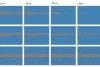 Automating Migration Assay Imaging and Quantification Using an Incubation Monitoring System