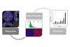 Analysis Workflow for 3D Live/Dead Cell Assays