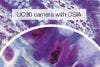 Experience the Clarity of 4K Microscopy