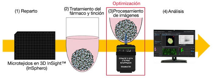 Flujo de trabajo de evaluación de fármacos