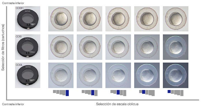 Selección de filtros (cartuchos) Selección de escala oblicua